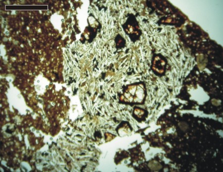 Olivine Basalt - Plain polarised light